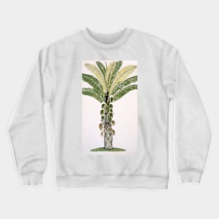 Palm tree, artwork (C012/2356) Crewneck Sweatshirt